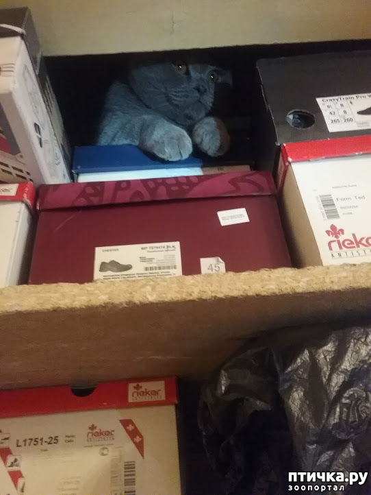 ���� 3: ������������ ������������ ����� � ��������� ������������