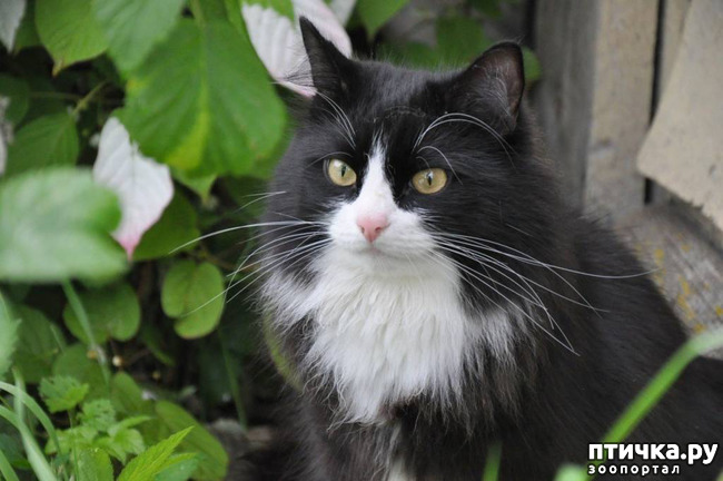 ���� 1: ��� ��� �������� ������ ������� ������� ����. �������� ������� �� ���� ���������)