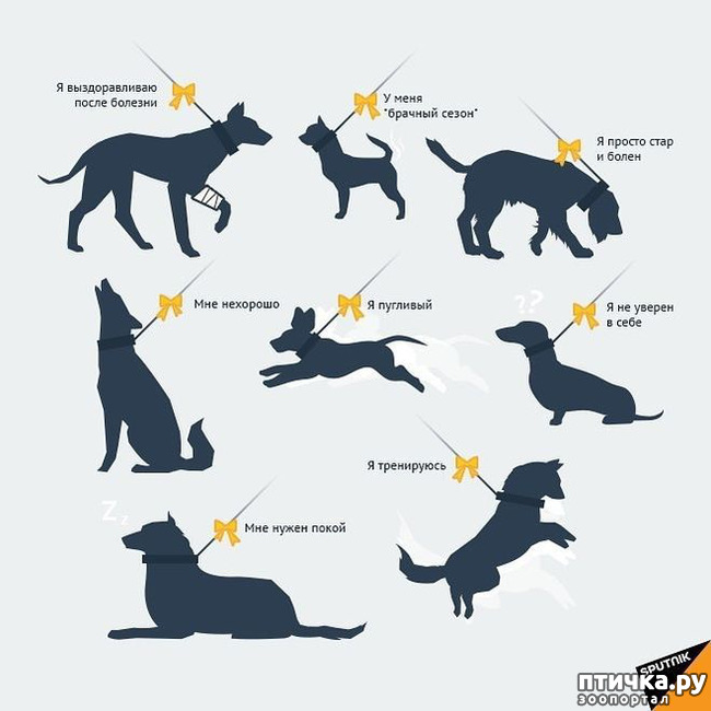 ���� 2: ��������: ����� ��������