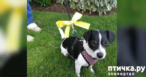 ����: ��������: ����� ��������