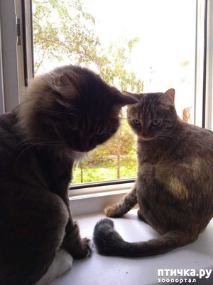 фотография: Отпуск. Зооцентр. фото: Отпуск. Зооцентр.