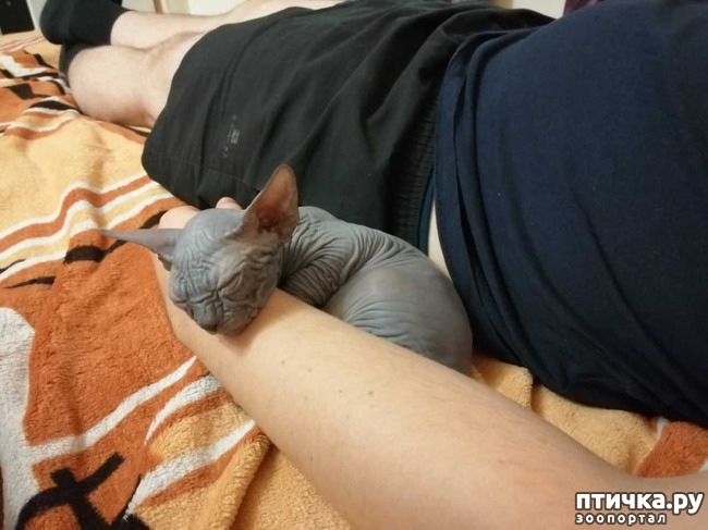 ���� 2: ������. ��������.