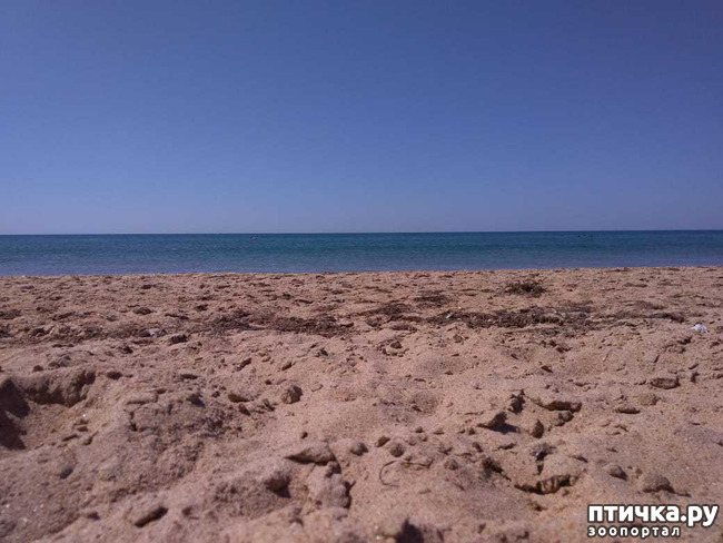 ���� 3: ������. ��������.