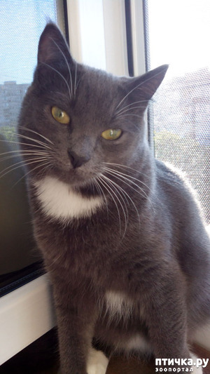 фотография: Чудо-перчаточка фото: Чудо-перчаточка