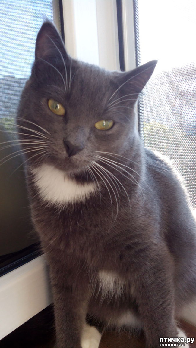 ���� 1: ����-����������