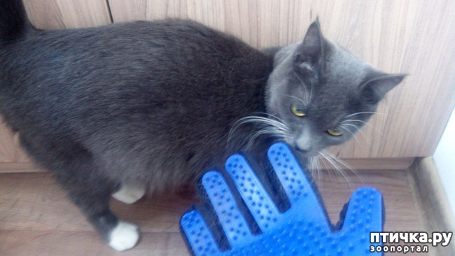 ���� 2: ����-����������