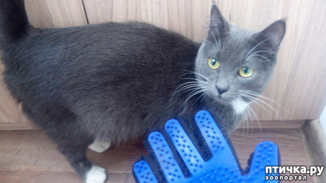 ���� 3: ����-����������