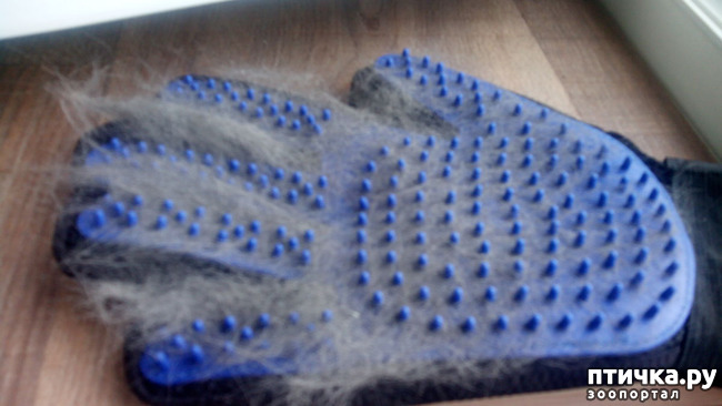 ���� 4: ����-����������