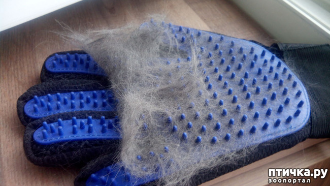 ���� 5: ����-����������