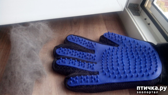 ���� 6: ����-����������