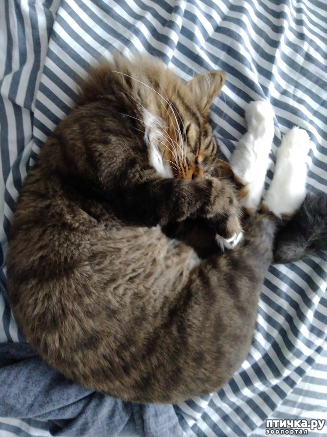 ���� 2: ��������� ���� ������ ���������.