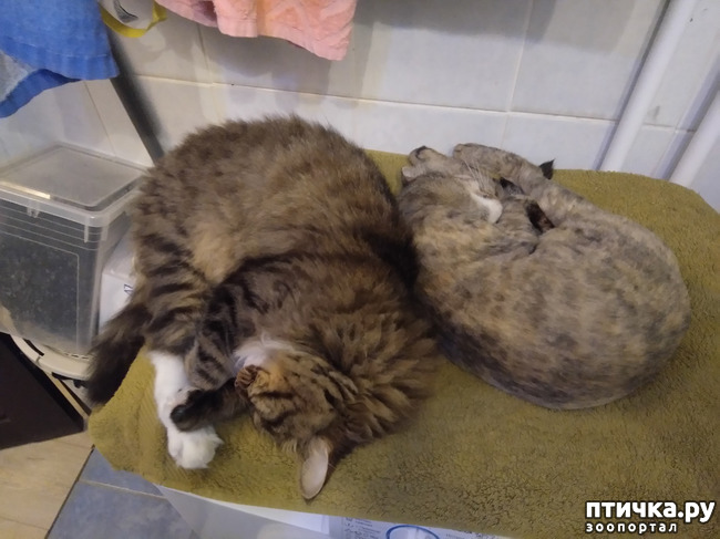 ���� 3: ��������� ���� ������ ���������.