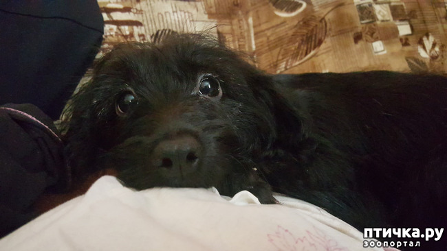 ���� 3: �� ����� ������ ��� �� ������.!