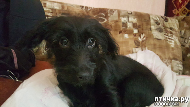 ���� 2: �� ����� ������ ��� �� ������.!