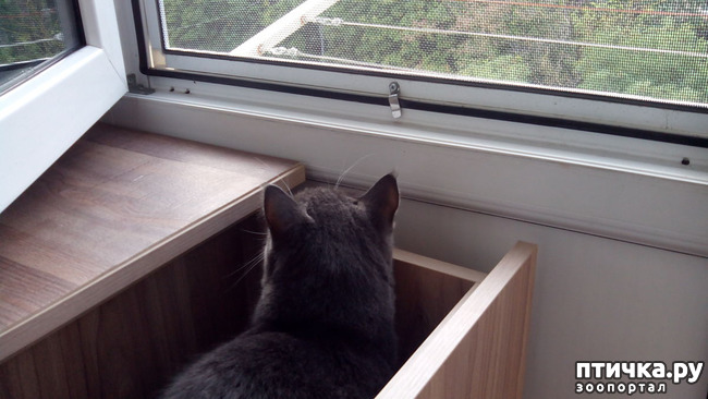 ���� 5: ������ �������