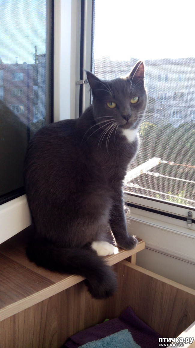 ���� 6: ������ �������