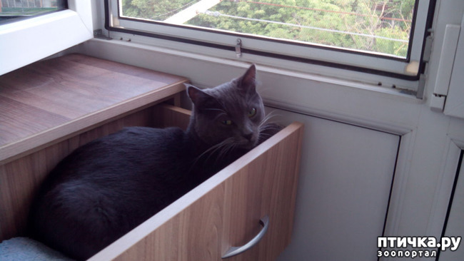 ���� 7: ������ �������