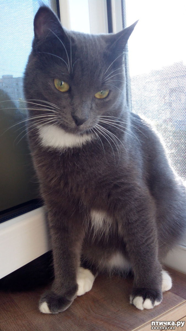 ���� 8: ������ �������