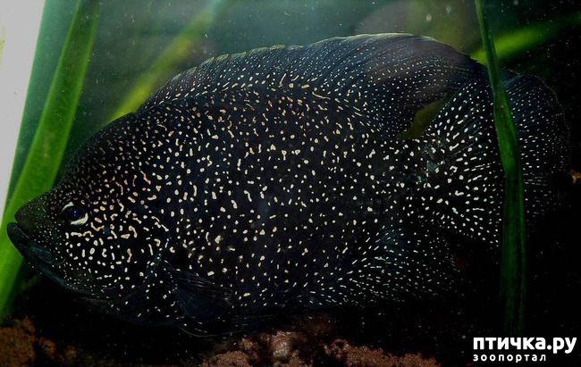 ���� 1: ��������� 3. ����� �������.