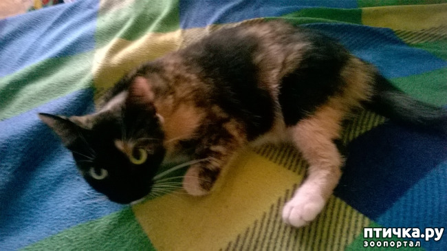 ���� 1: ��� �������. ��� ������.