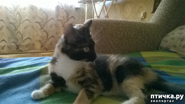 ���� 2: ��� �������. ��� ������.