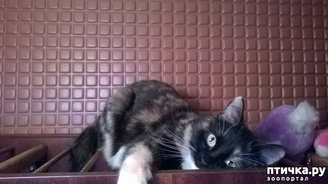 ���� 3: ��� �������. ��� ������.