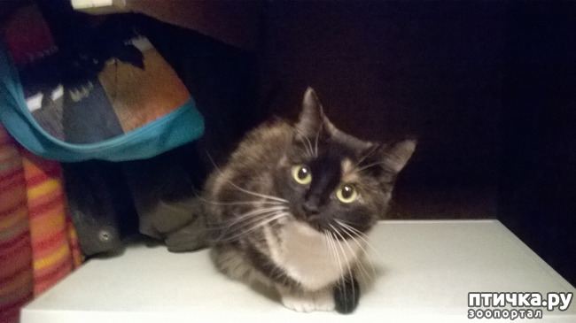 ���� 4: ��� �������. ��� ������.