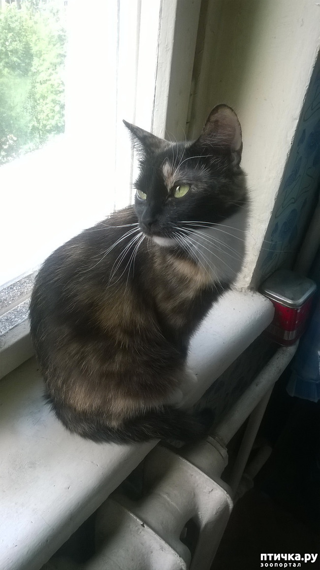 ���� 5: ��� �������. ��� ������.