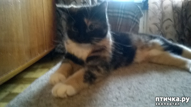 ���� 7: ��� �������. ��� ������.