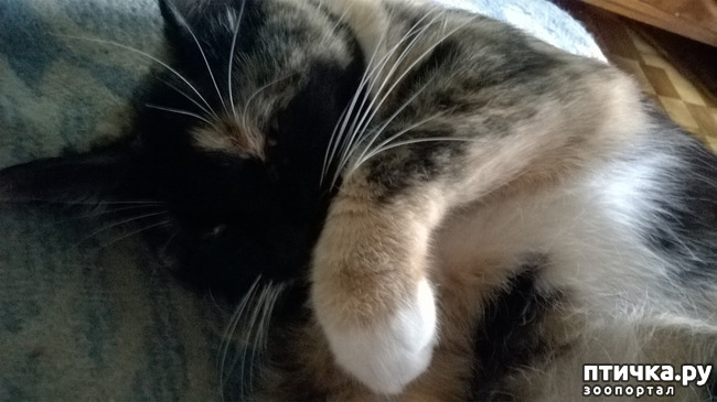 ���� 6: ��� �������. ��� ������.