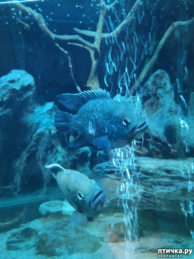 ���� 2: ��������� 3. ����� �������.