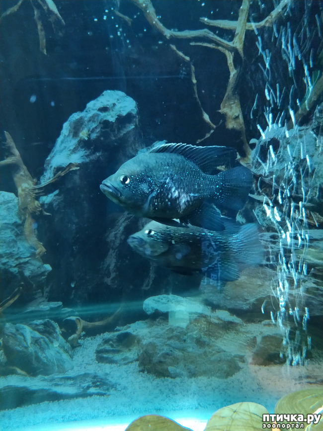 ���� 3: ��������� 3. ����� �������.