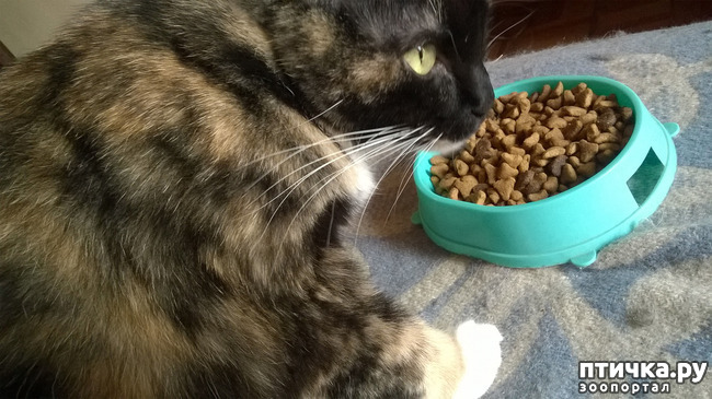 ���� 8: ��� �������. ��� ������.