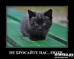 фотография: ОДНАЖДЫ... фото: ОДНАЖДЫ...