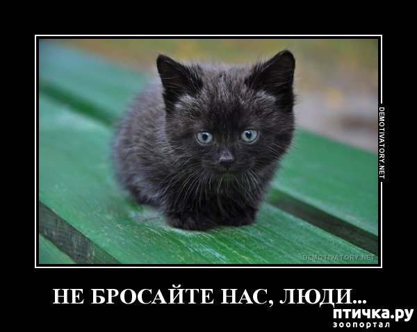 ���� 1: �������...