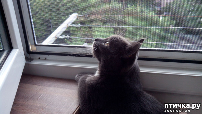 ���� 3: ������ �������