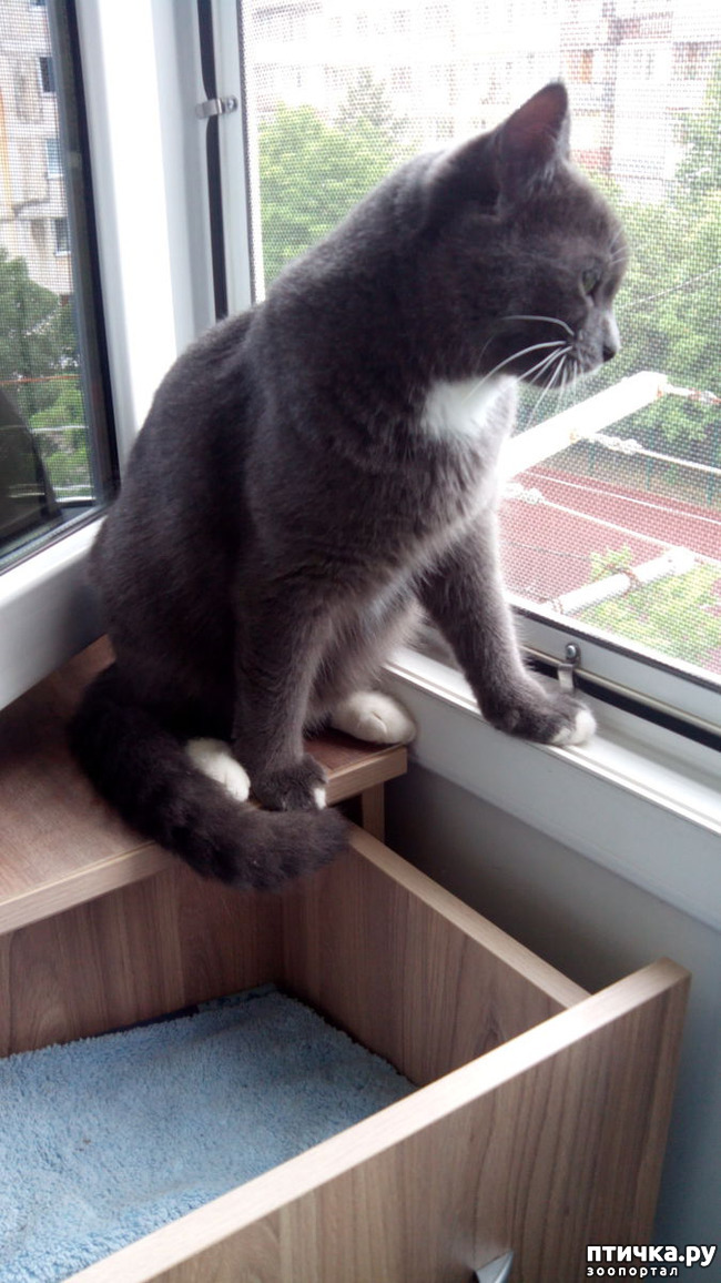 ���� 2: ������ �������