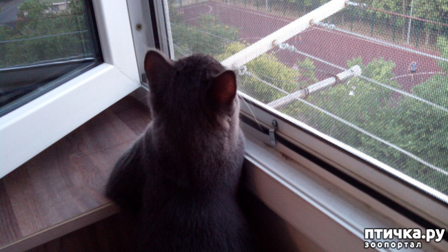 ���� 4: ������ �������