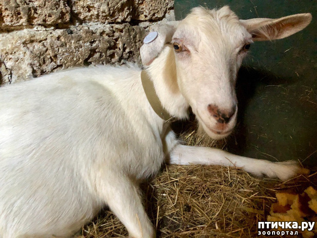 ���� 2: ��� �������, ������������!!!