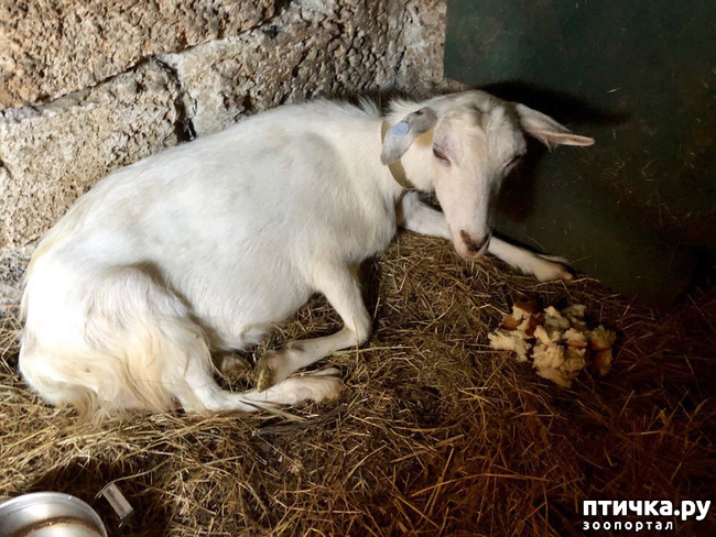 ���� 3: ��� �������, ������������!!!