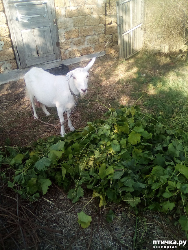 ���� 4: ��� �������, ������������!!!