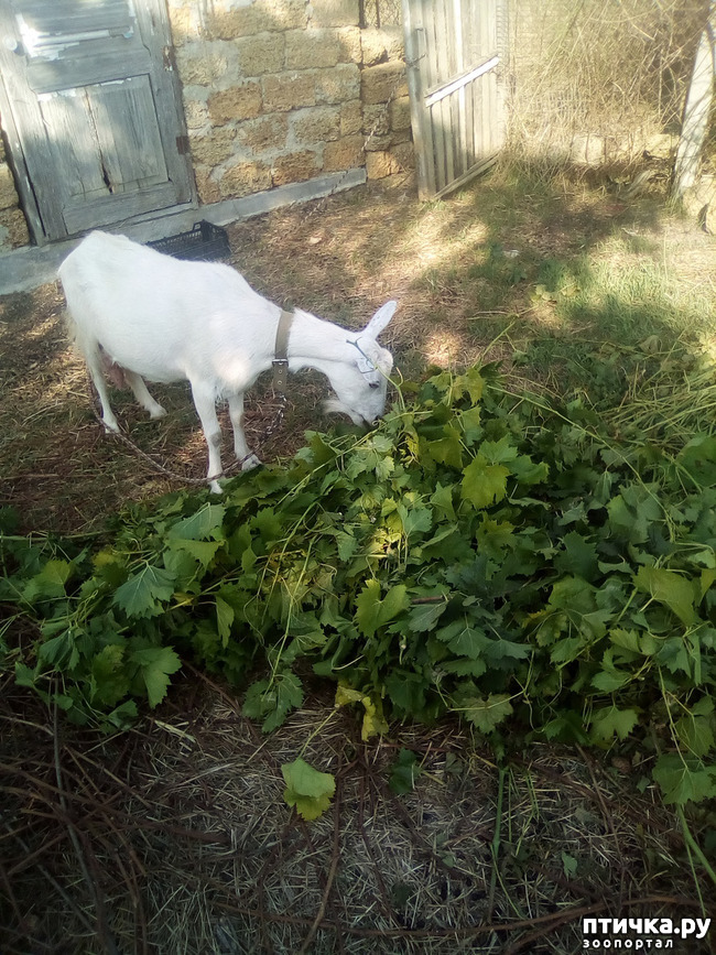 ���� 5: ��� �������, ������������!!!