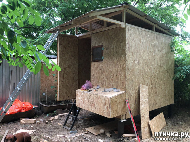 ���� 6: ��� �������, ������������!!!