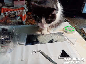 фотография: Как проводят выходной мои роднульки фото: Как проводят выходной мои роднульки