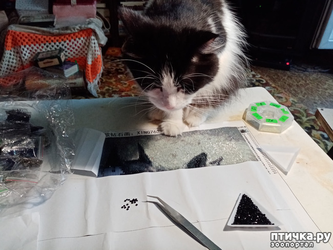 ���� 1: ��� �������� �������� ��� ���������