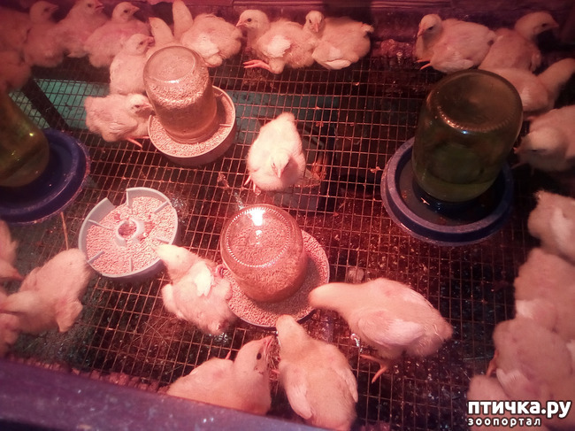 ���� 9: ��� �������, ������������!!!