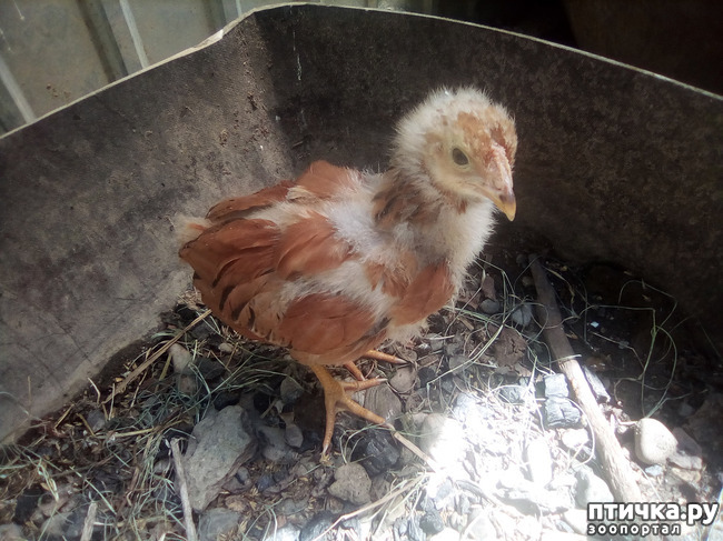 ���� 10: ��� �������, ������������!!!