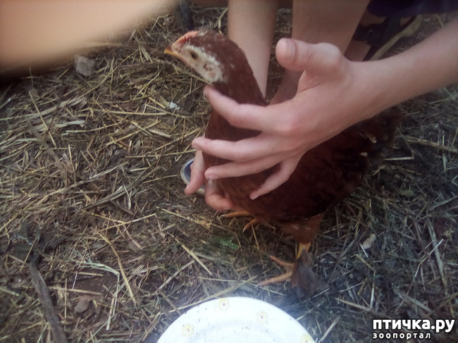 ���� 12: ��� �������, ������������!!!