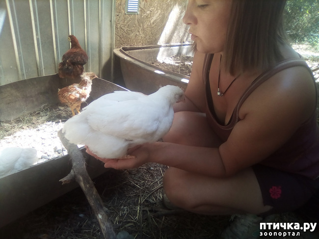 ���� 13: ��� �������, ������������!!!