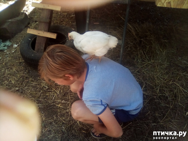 ���� 14: ��� �������, ������������!!!